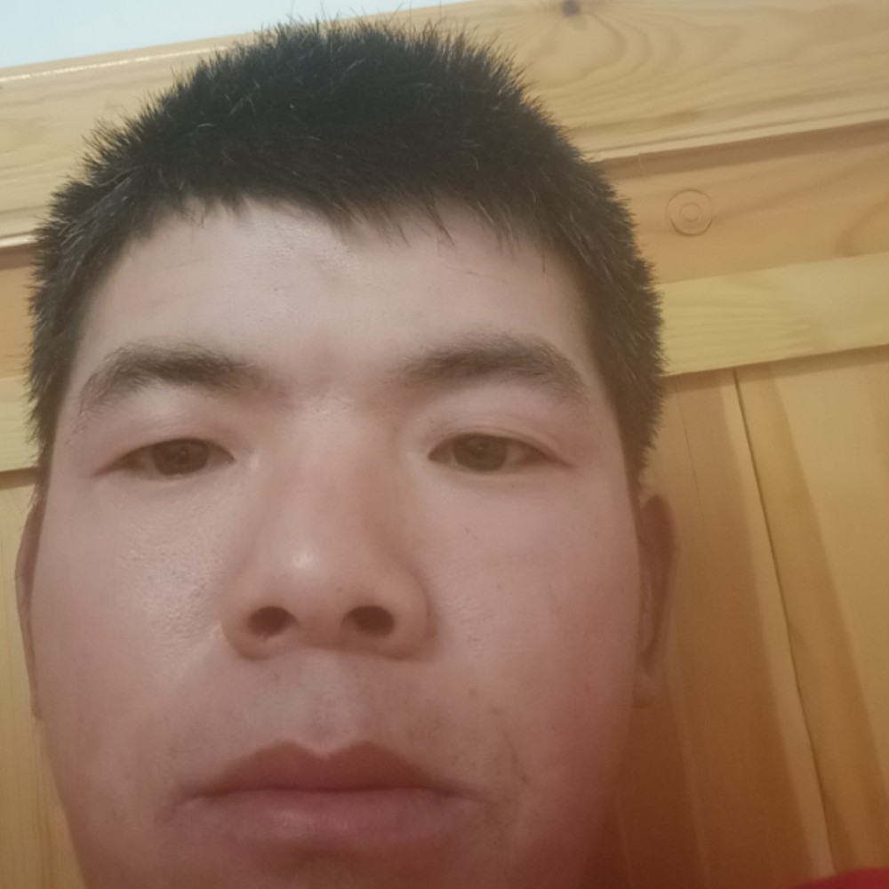 醉熏踢小松鼠的照片