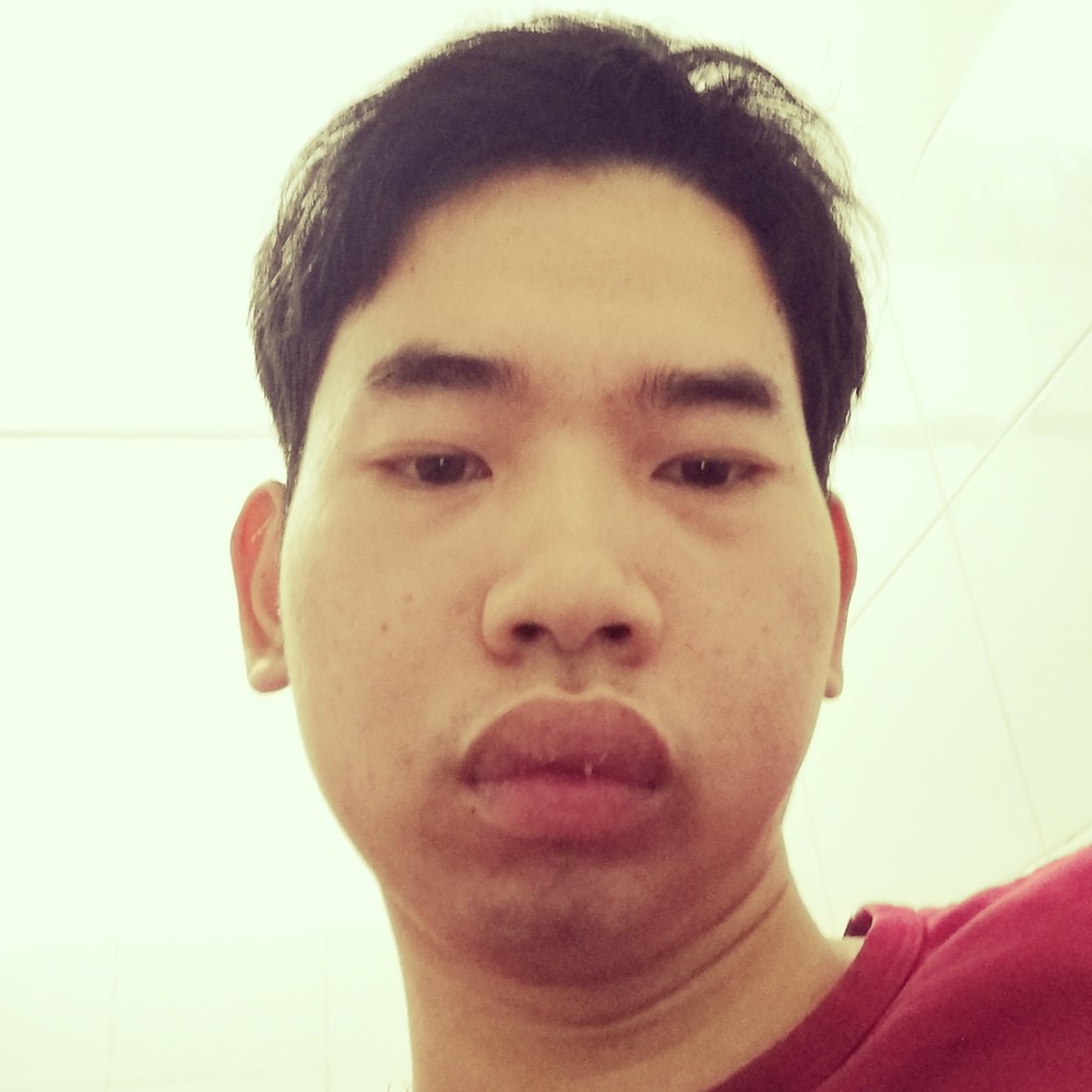 龙猫漫步的照片