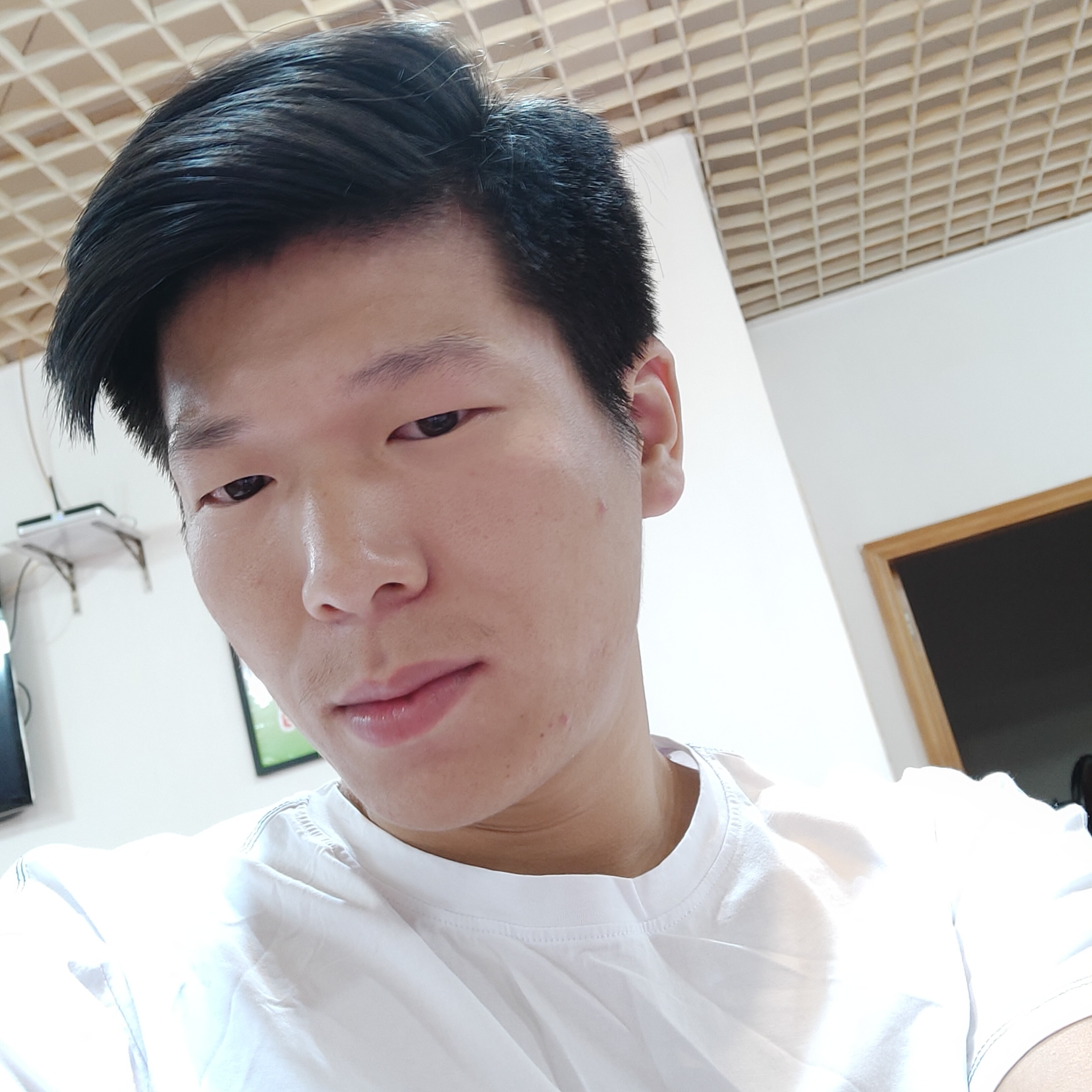 无途的归人的照片