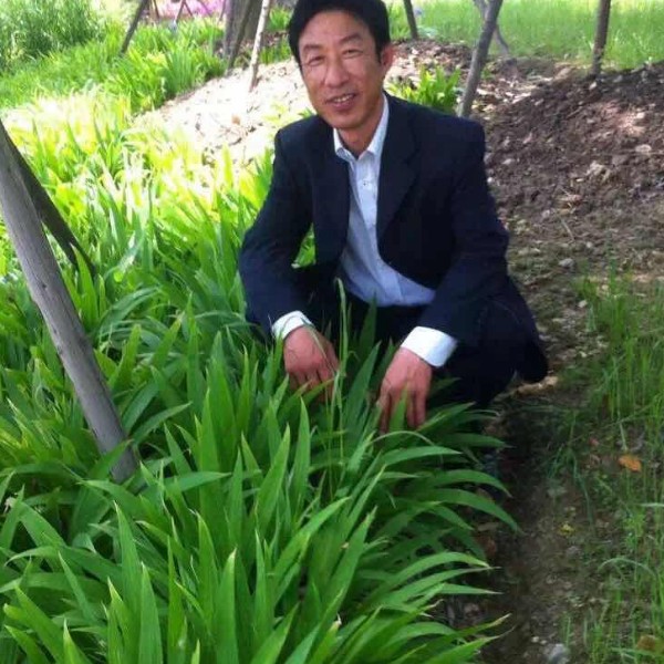 会员682842260的照片