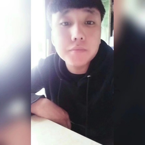 英勇小刺猬的照片
