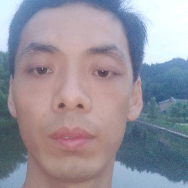 百合零碎的照片