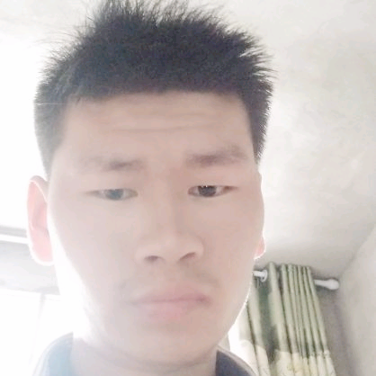 虚心用小蜜蜂的照片