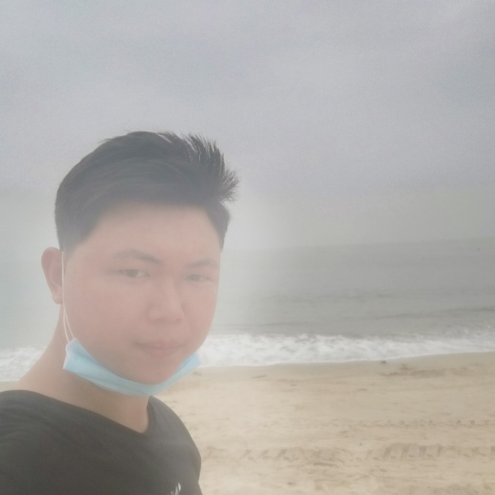 纯真与蜜蜂的照片