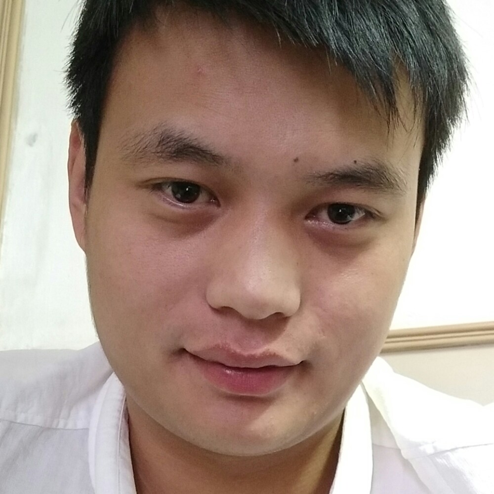 靓丽小熊猫的照片