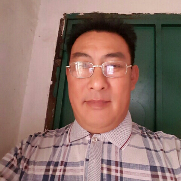 黄蜂改变魁梧的照片