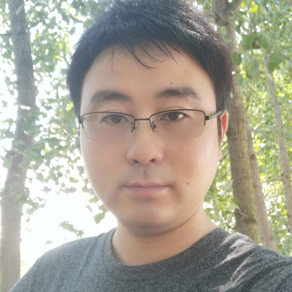 寻觅一片森林的照片