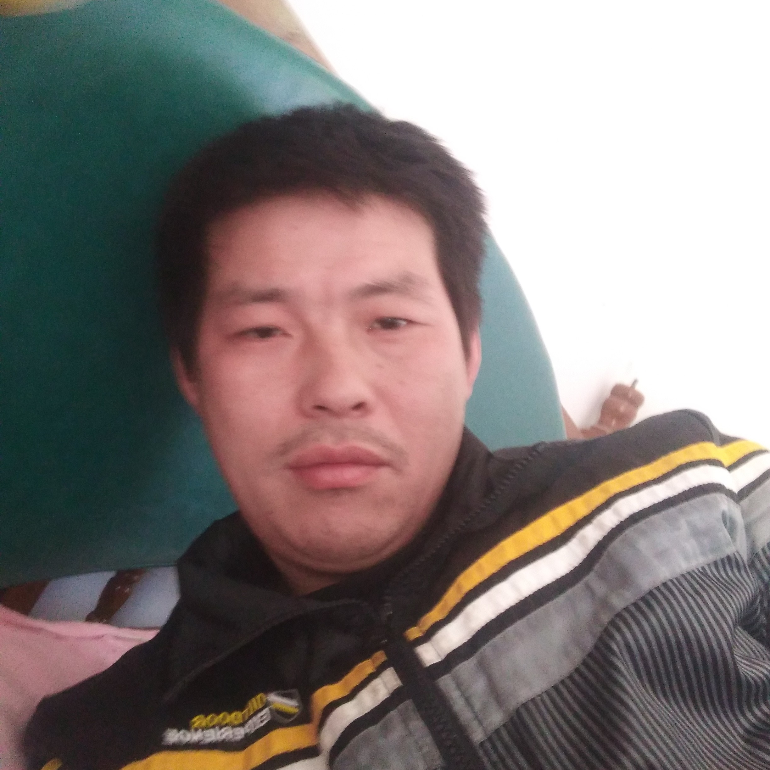 鸡可爱的照片