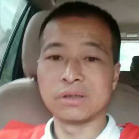 星星浅吻柔弱的照片