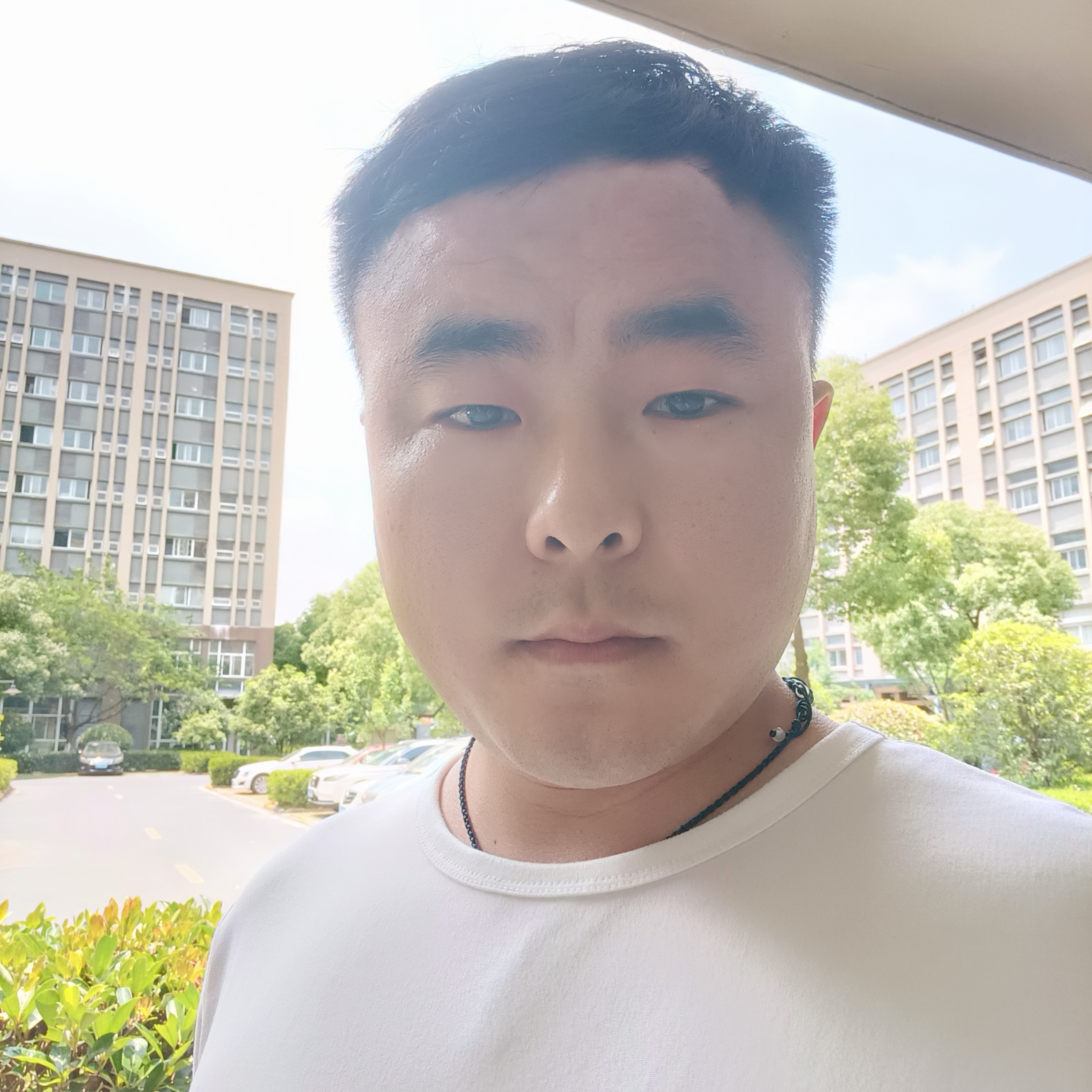 杨贵阳的照片