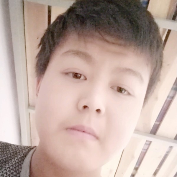 小懒虫停止活泼的照片