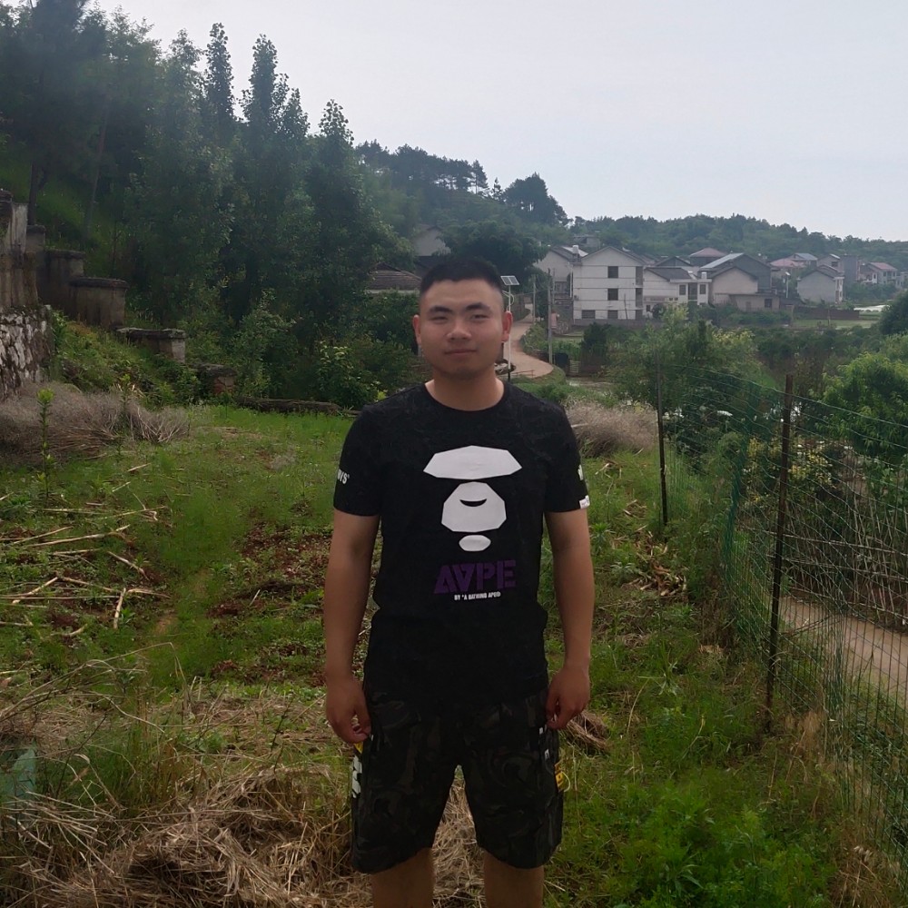 怡然停止世界的照片