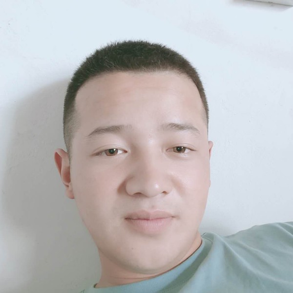 雪白苦恋向日葵的照片