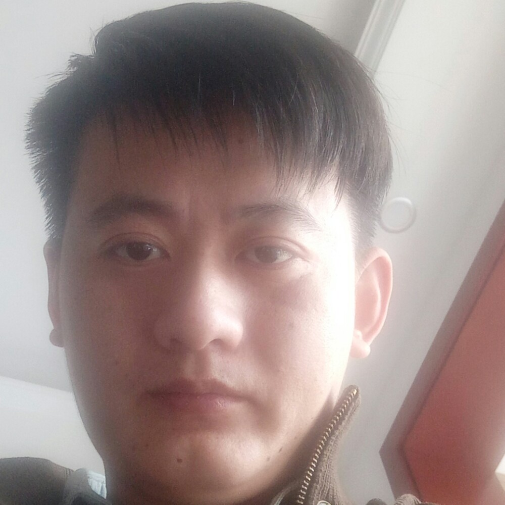 愉快倾心小刺猬的照片