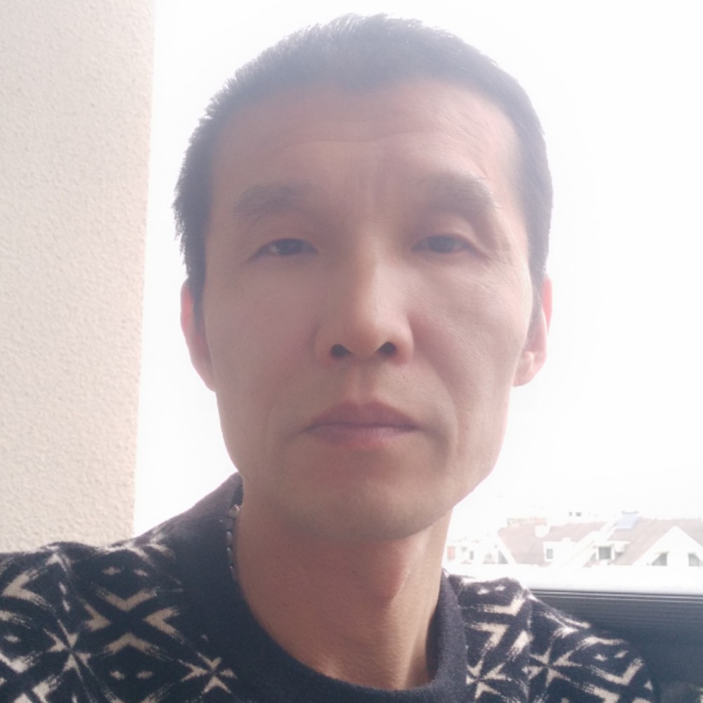 无私深拥树叶的照片