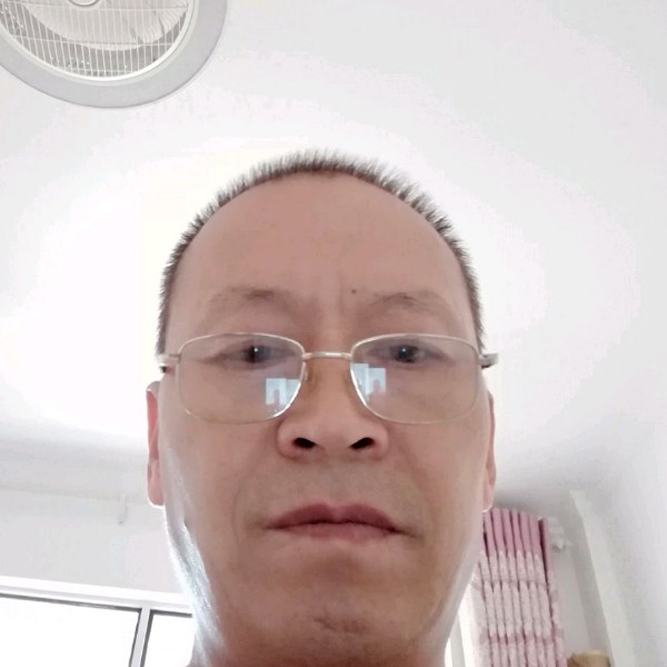 沉静用河马的照片