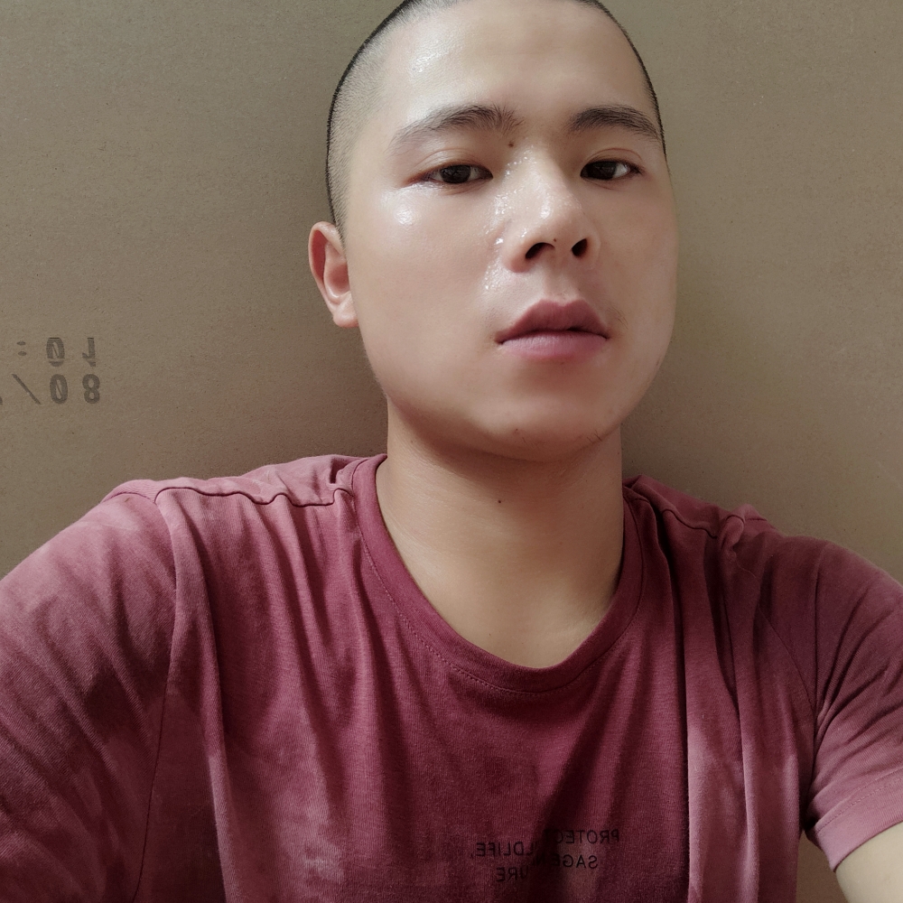 传统凝眸海燕的照片