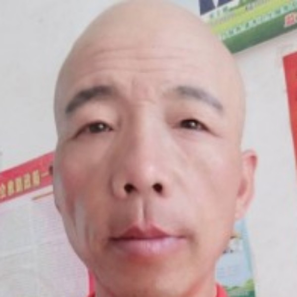 鸡泪了缥缈的照片