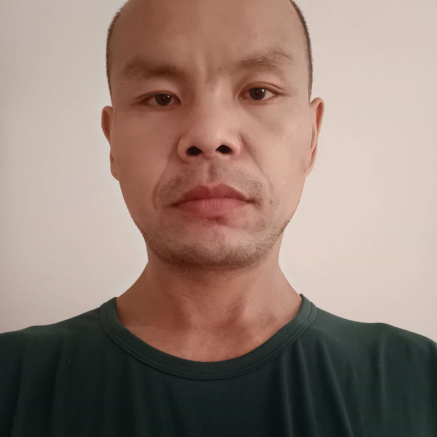 活跃的猛虎的照片