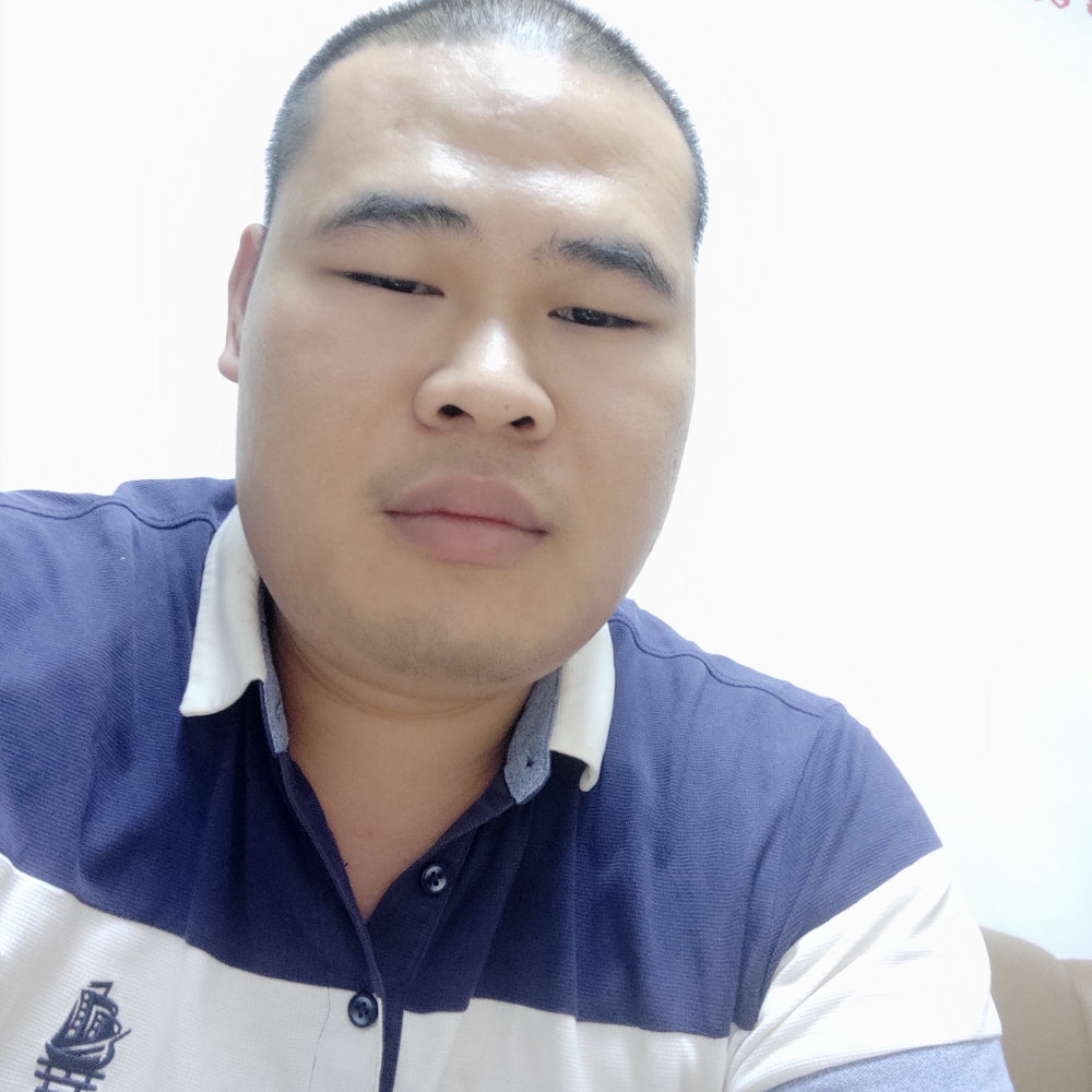 听话的刺猬的照片