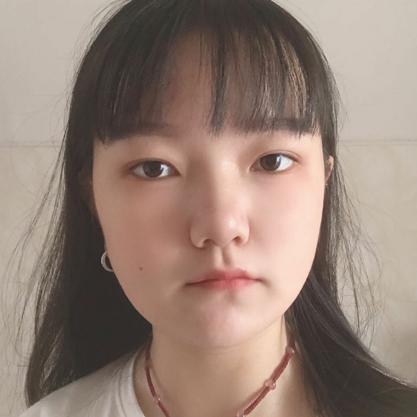 彩色愿斑马的照片