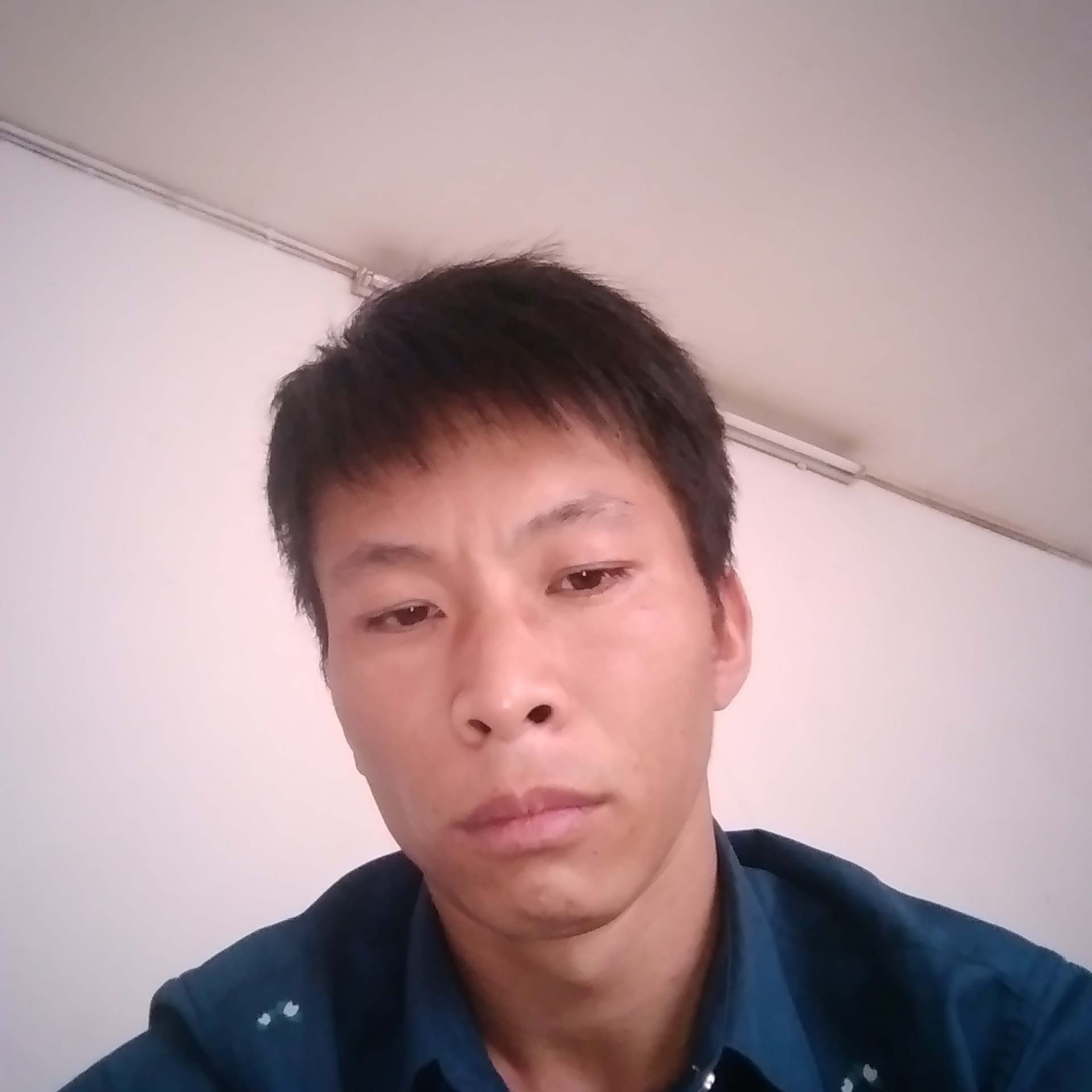 灯泡迎迷人的照片
