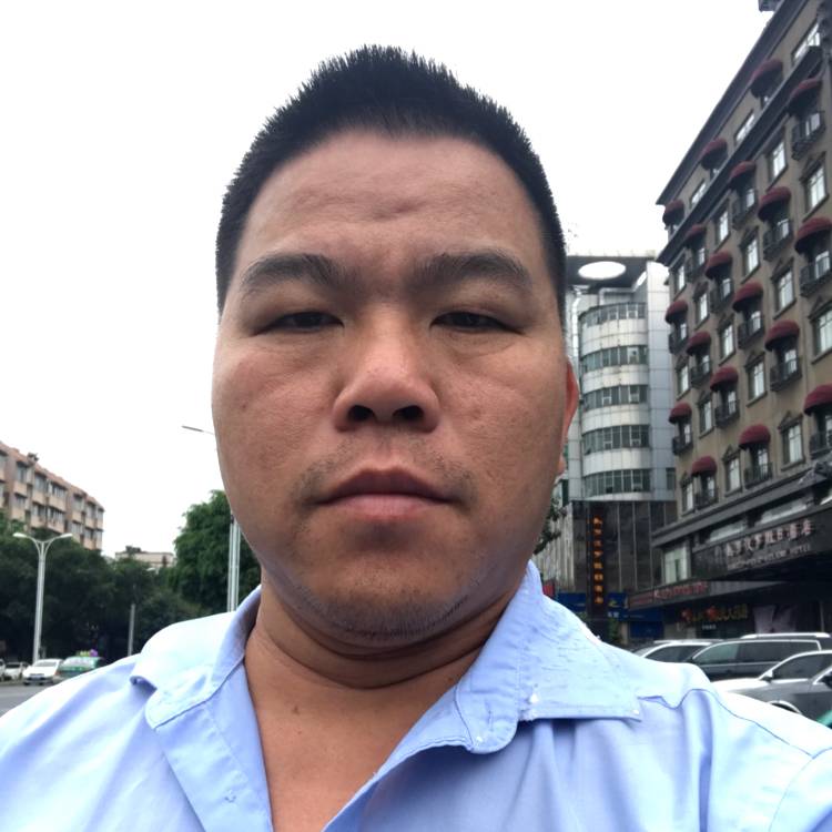 猎豹受伤的照片