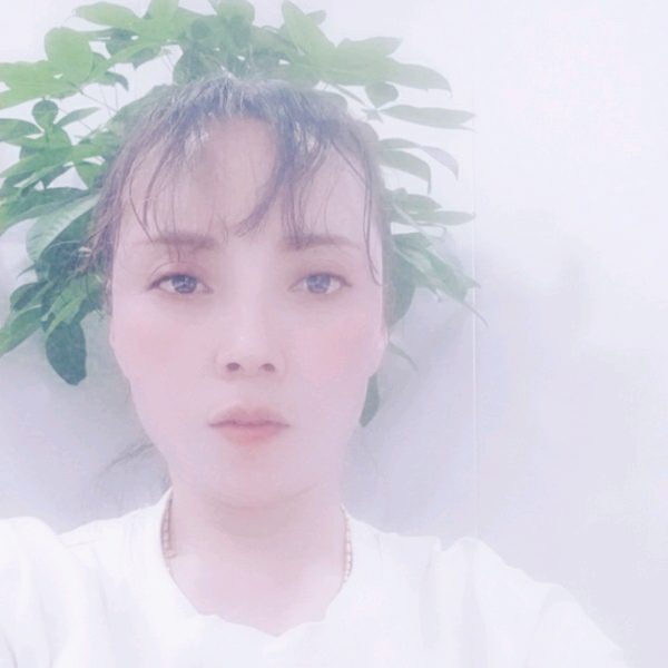 标致的飞鸟的照片