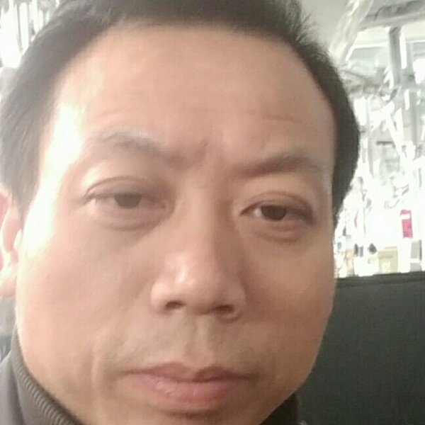 飞机鳗鱼的照片