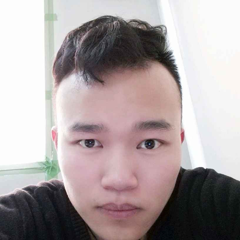 小海豚#的照片