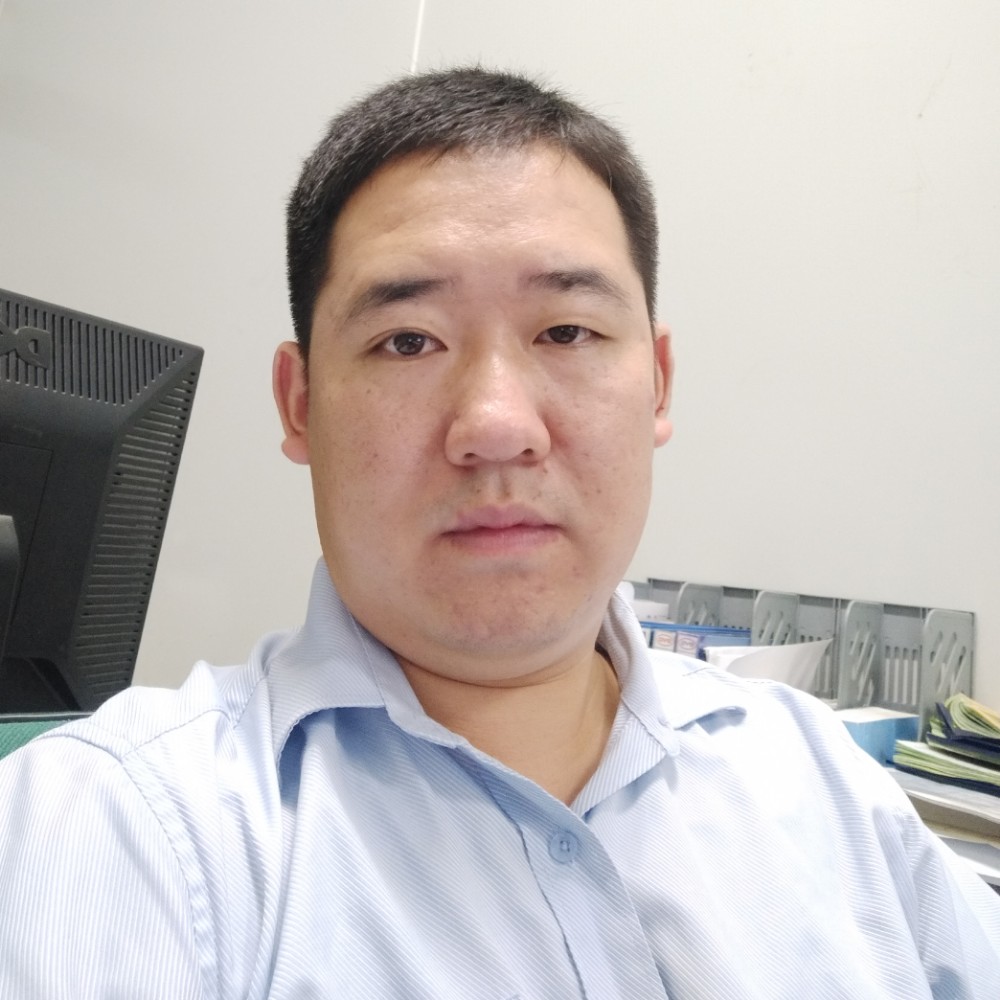 路过的枫的照片