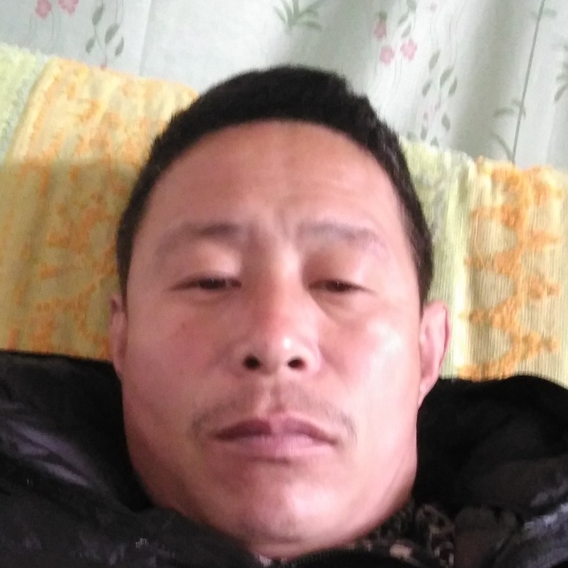 chogxinkaisho的照片