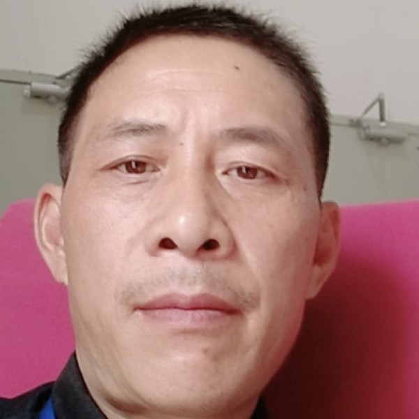 枫叶的苹果的照片