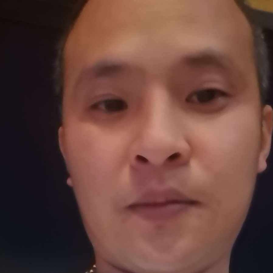 老虎苦恋调皮的照片