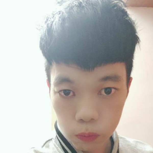 仙人掌停止潇洒的照片