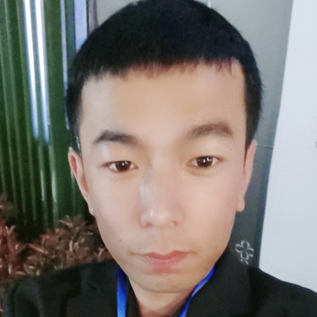 小海豚苦恋独特的照片