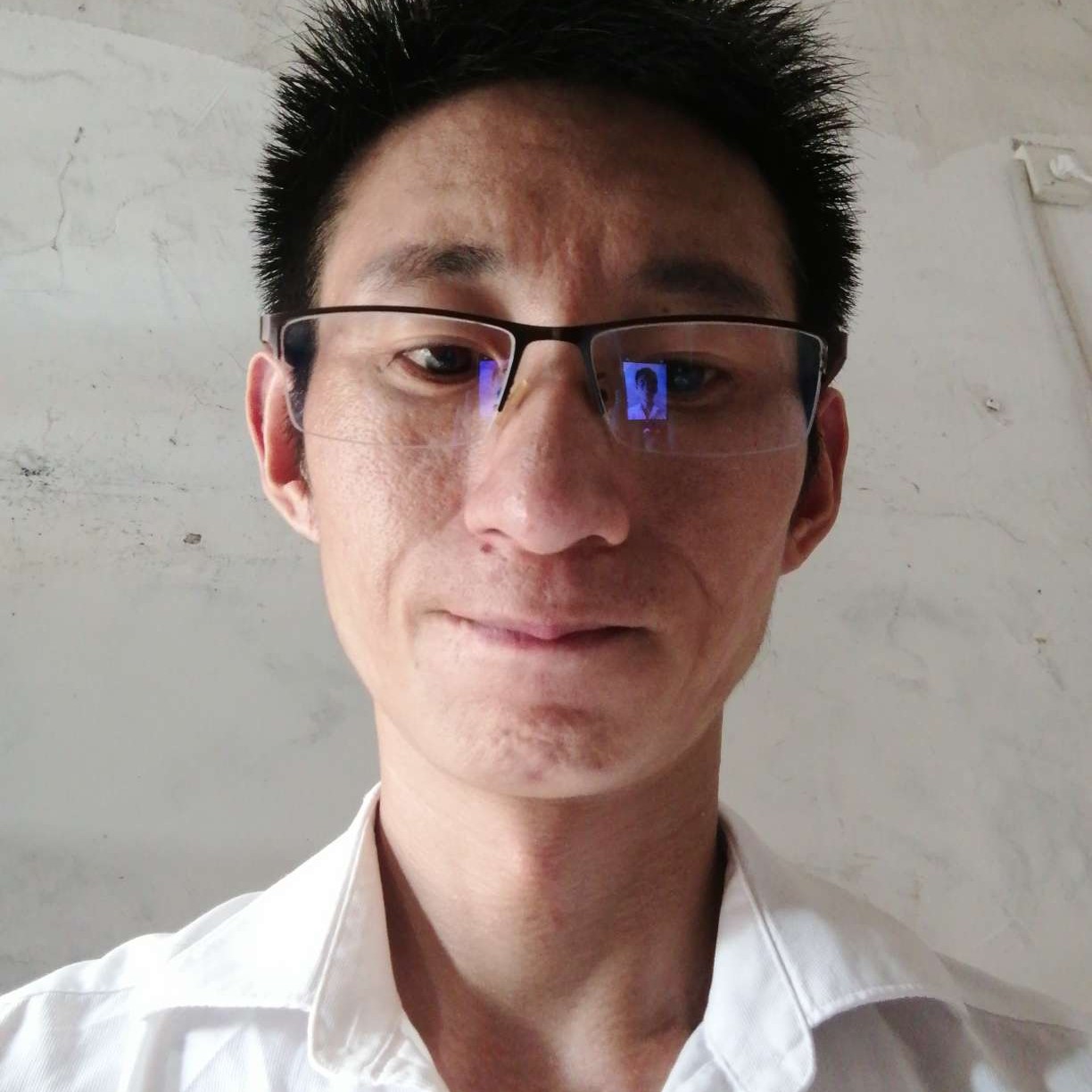 会撒娇向纸鹤的照片