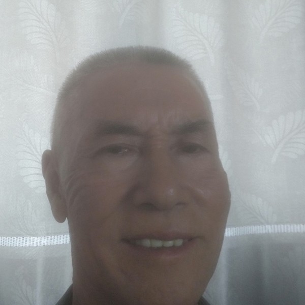 小海豚幽默的照片