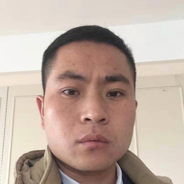 小熊猫给尊敬的照片