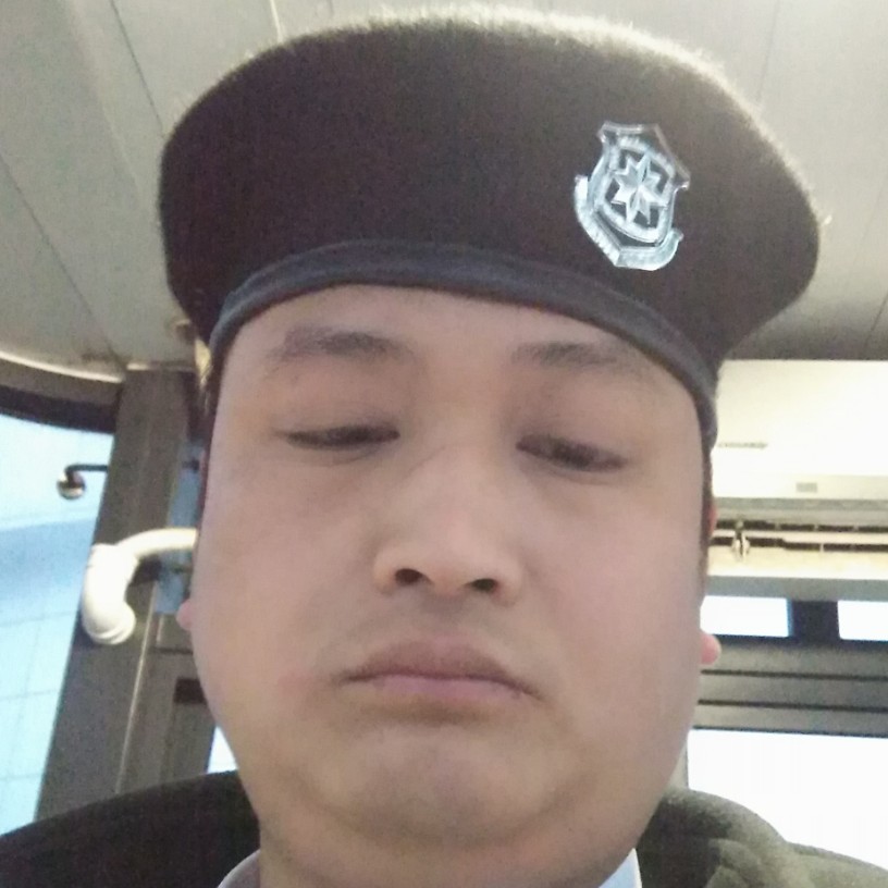灰狼深拥无语的照片