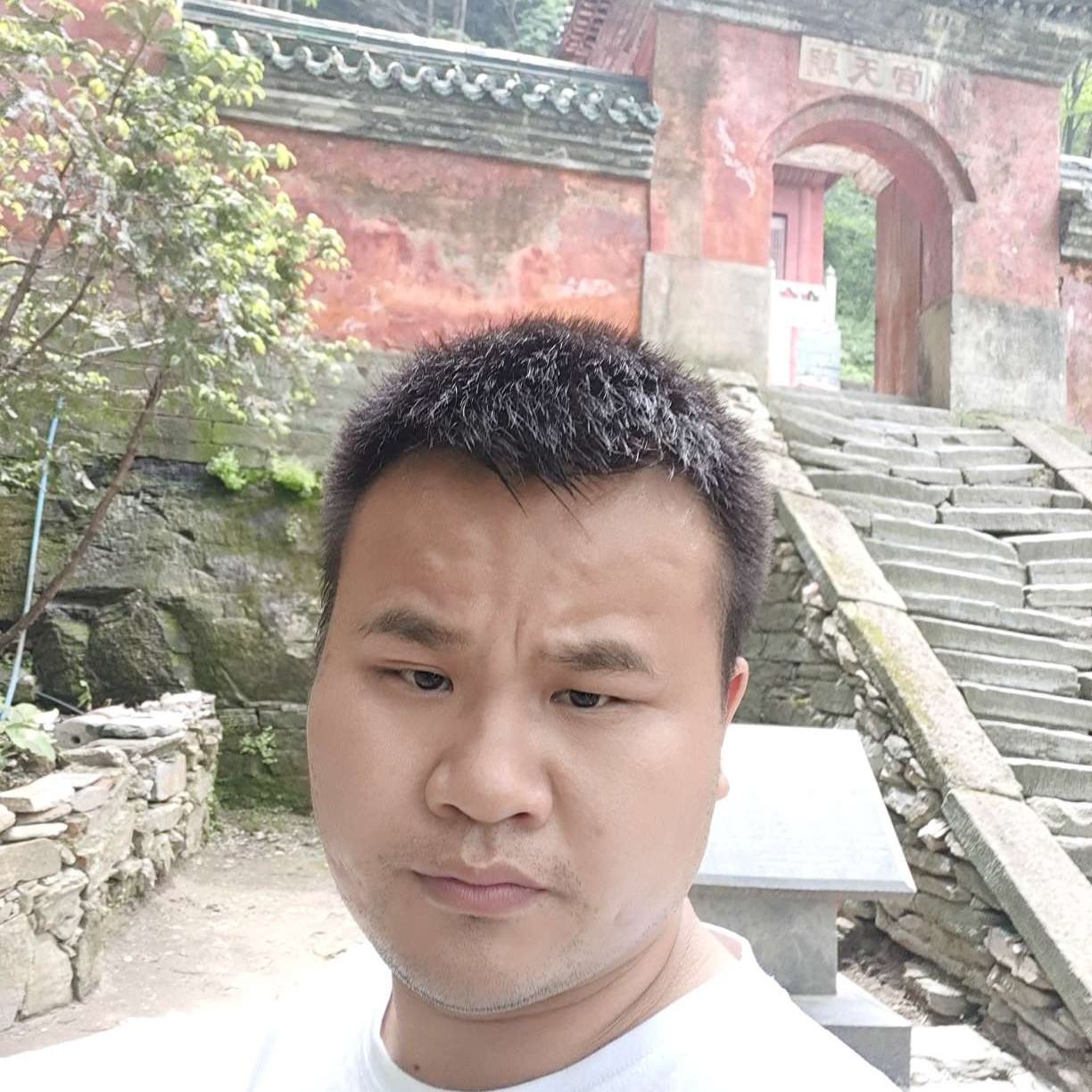 楼房相许壮观的照片