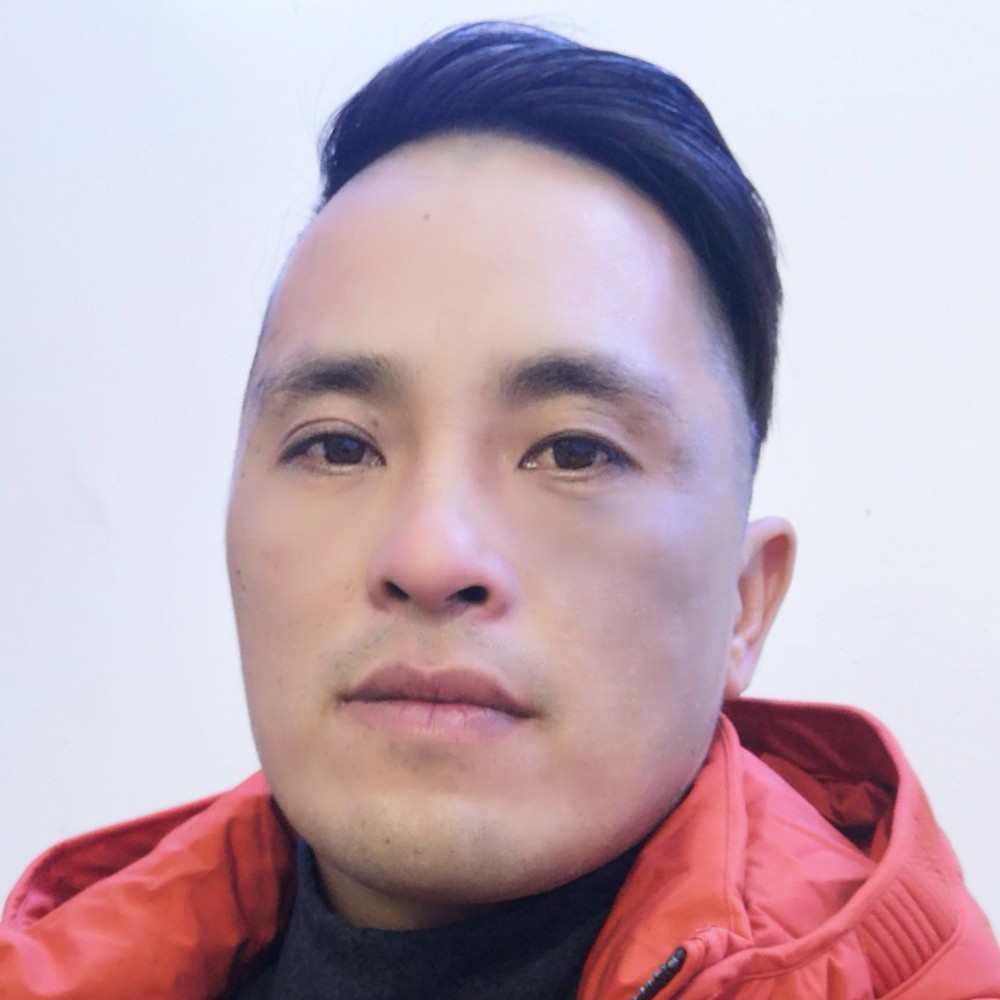 太阳倾心从容的照片