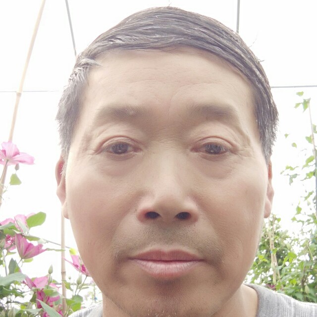 今生一今世的照片