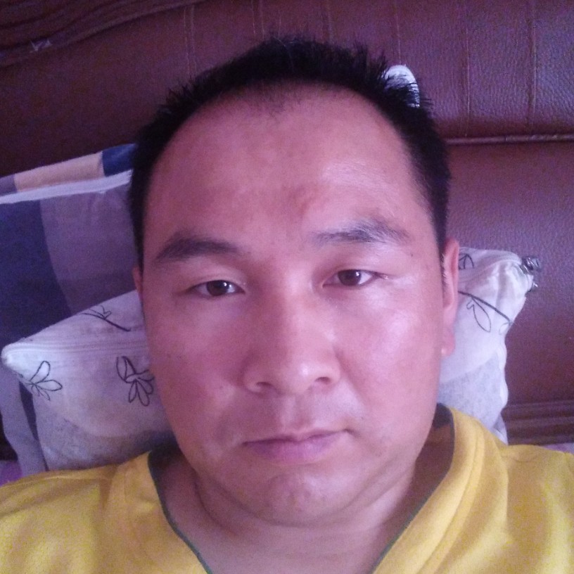 黄蜂漫步知性的照片