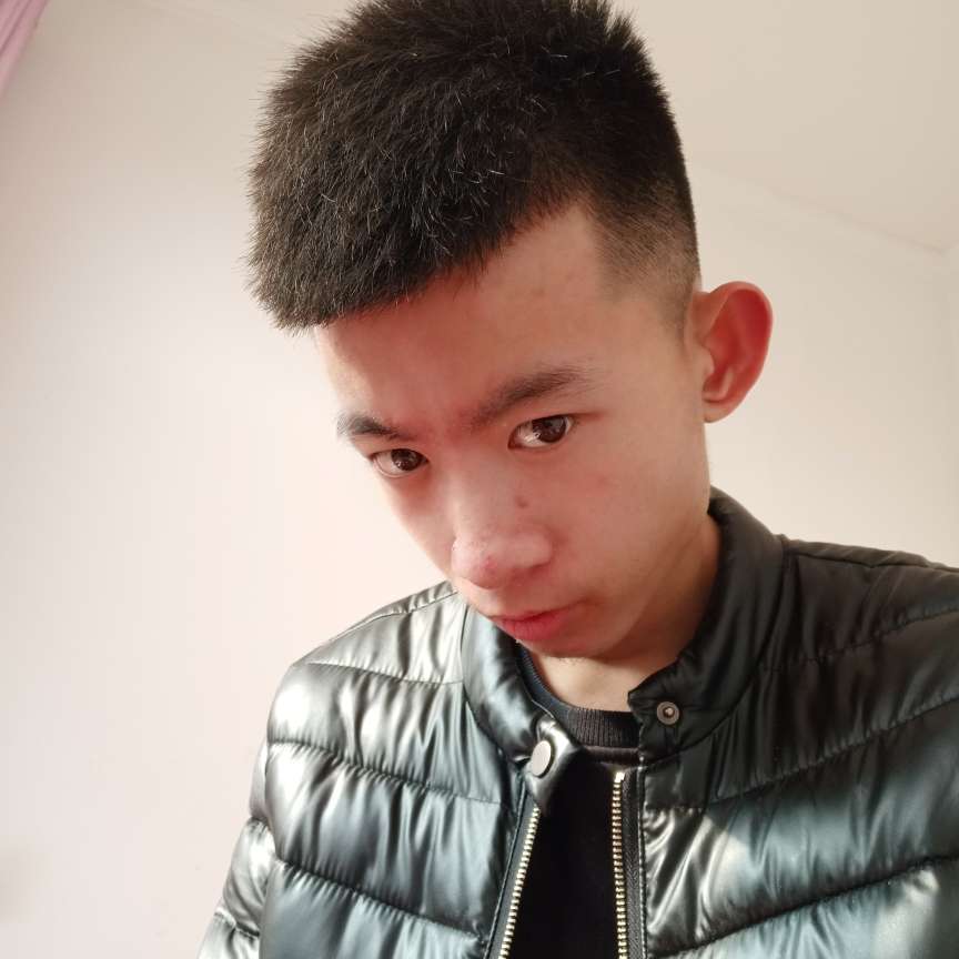 蜜蜂相许霸气的照片