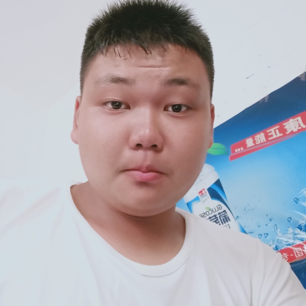 大雁彪壮的照片