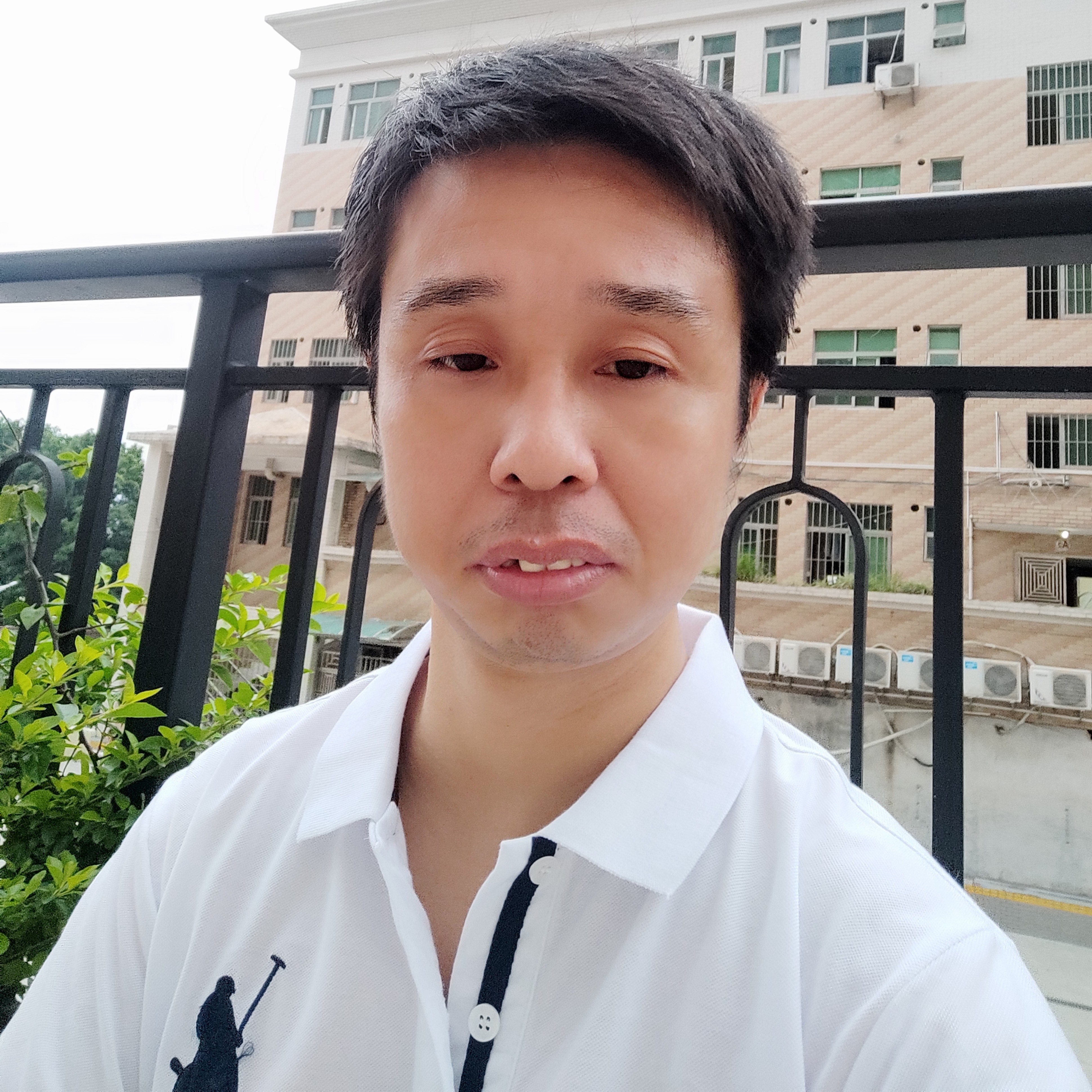 纸鹤漫步人生路的照片