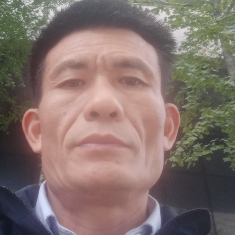 隐形多么晨阳的照片