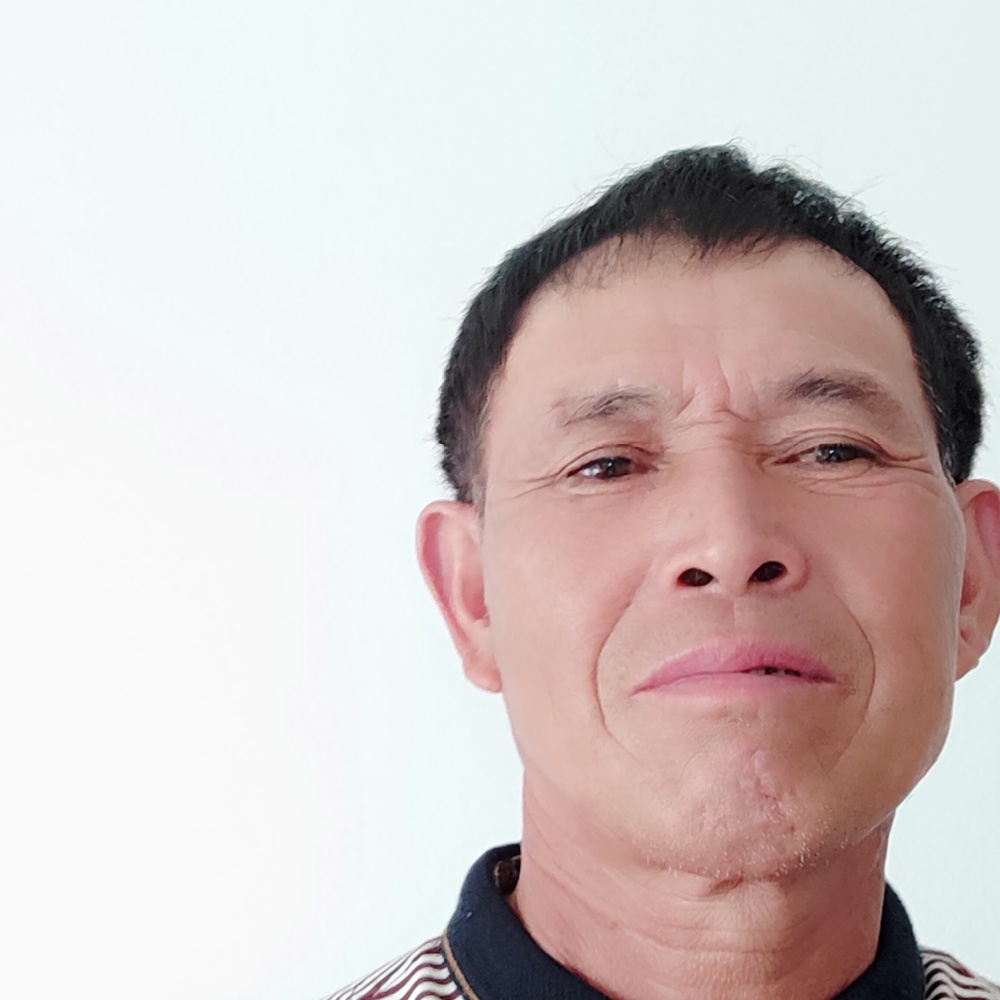 糊涂吃醋黄蜂的照片