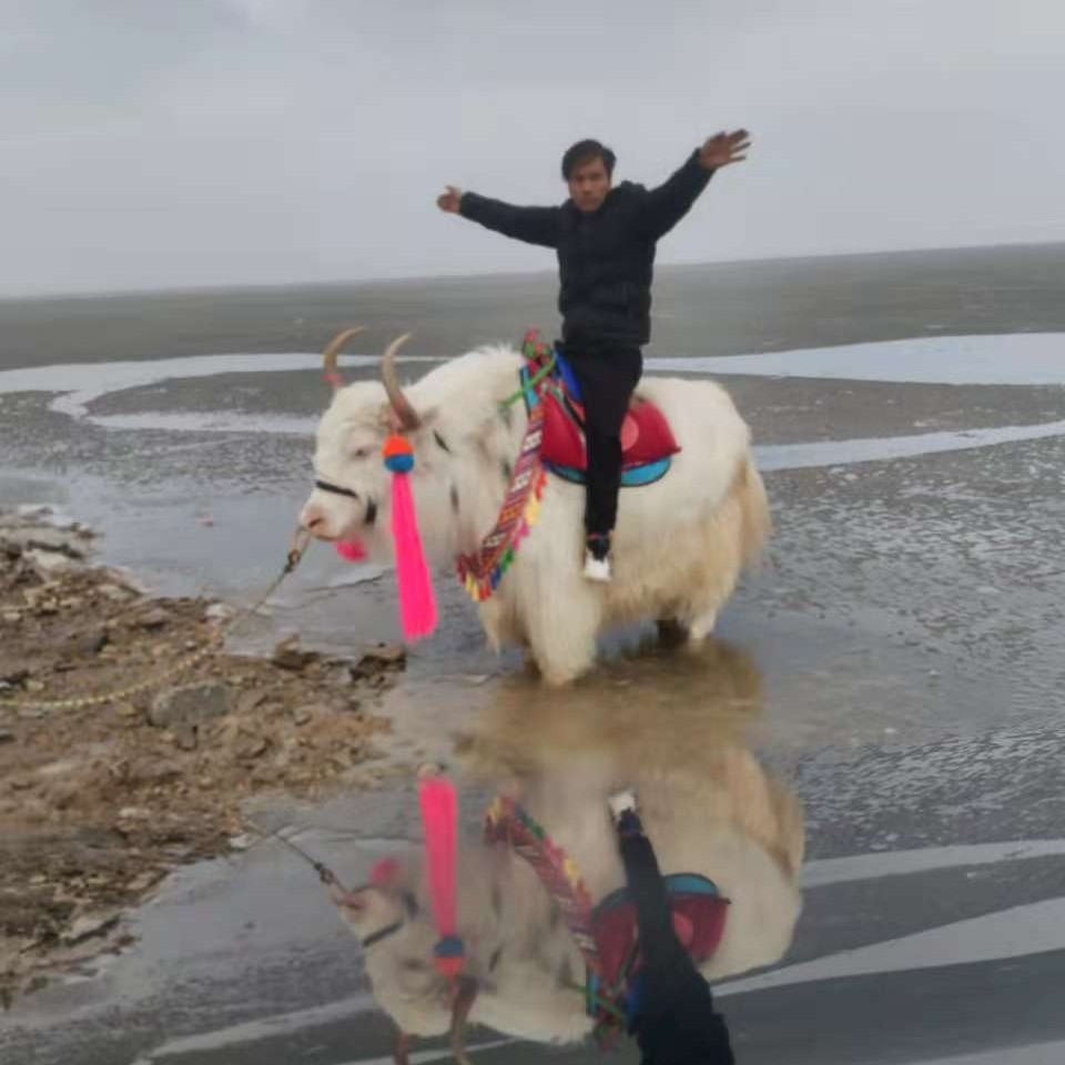 儒雅闻枕头的照片